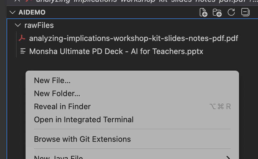 Files inside rawFiles